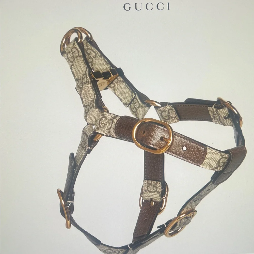 Gucci Dog Harness